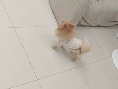 -怪兽屋·羊驼·猫咖·狗咖(俊华广场店)