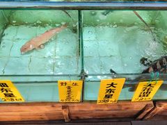 -寻味顺德·南记酒家·传统顺德菜·鱼生(广源路店)