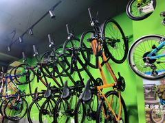 -道路口单车爱瓦士dahon大行