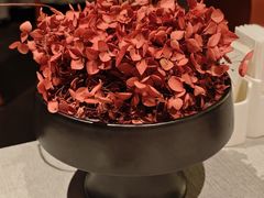 -星·South Beauty·俏江南(国贸店)