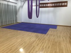 -亚太瑜伽普拉提学院