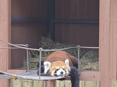 -深圳野生动物园