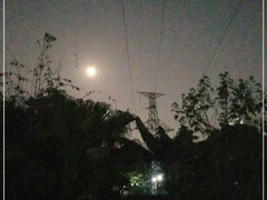 -晓港公园