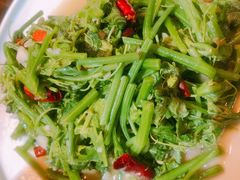 清炒洋瓜尖-云上千禾(水上店)