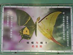 -上海昆虫博物馆