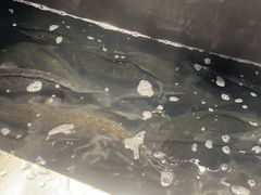 -周渝食惦酸菜鱼(青浦店)