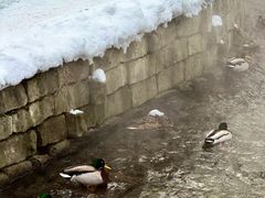 -水磨沟公园