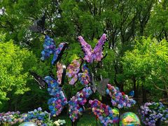 -上海共青森林公园