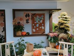 -杭州植物园