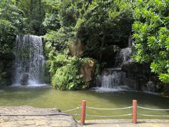 -广州市帽峰山景区