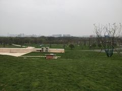 -盘龙城遗址博物院