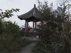 -洋山深水港