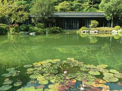 -云溪植物园