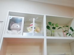 -金美秀养生瘦身