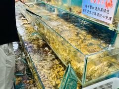 -仙螺岛海鲜自助餐厅(总店)