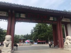 -百脉泉景区