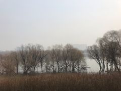 -灞河西岸滨河公园