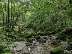 -牛背梁国家森林公园