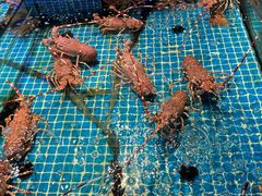 -驻海渔市(置信店)