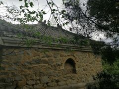 -白水寺森林公园