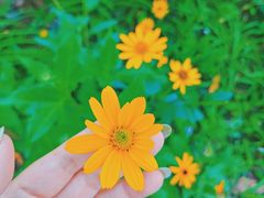 -东郊湿地公园