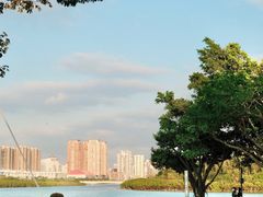 -白鹭洲公园