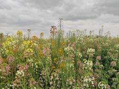 -中国天府农业博览园