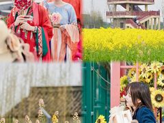 -杭州湾海上花田景区