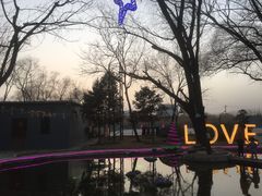 -枫花园汽车电影院(朝阳公园店)