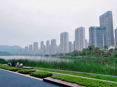 -梅溪湖城市岛