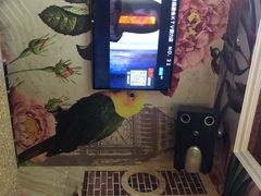 -唐会KTV(群力店)