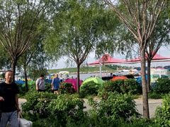 -呼兰河口湿地公园