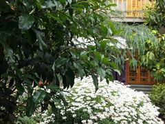 -璞真扎染博物馆