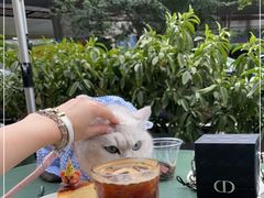 -Infica Coffee