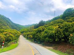 -广州市石门国家森林公园