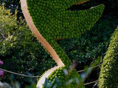 -杭州植物园