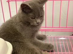 -味妙烤鱼吧(回龙观店)