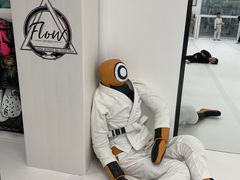 -Flow巴西柔术拳击泰拳馆