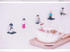谷物酸奶-阿狗圆子