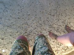 -东方之珠洗浴休闲广场(于家堡店)