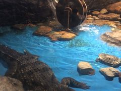 -多彩贵州城极地海洋世界