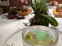 -叶叶菩提(太原别墅店)