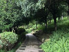 -龙头寺公园