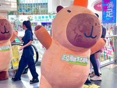 -正佳雨林生态植物园