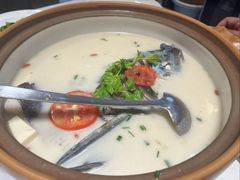 千岛湖浓汤鱼头-全乐鱼馆·淳牌有机鱼直营店