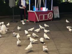 -厦门方特梦幻王国