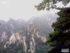 -王顺山国家森林公园