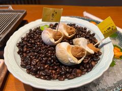 -月龍吟(朝龙汇店)