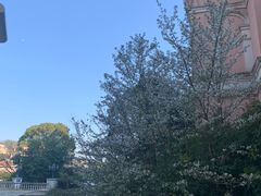 -平湖九龙山庄园圣马可酒店