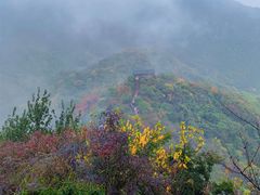 -大岭沟猕猴桃谷风景区